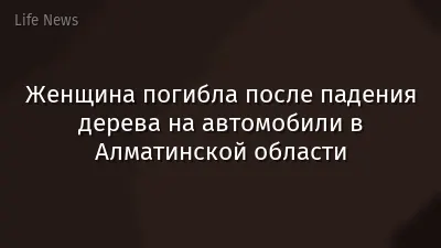Женщина погибла после падения дерева на автомобили в Алматинской области