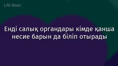 Енді салық органдары кімде қанша несие барын да біліп отырады