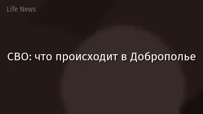 СВО: что происходит в Доброполье