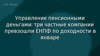 Управление пенсионными деньгами: три частные компании превзошли ЕНПФ по доходности в январе