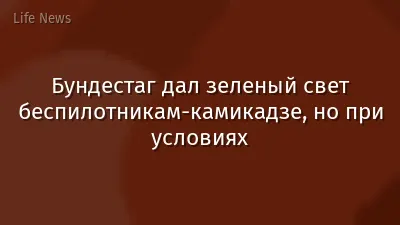 Бундестаг дал зеленый свет беспилотникам-камикадзе, но при условиях