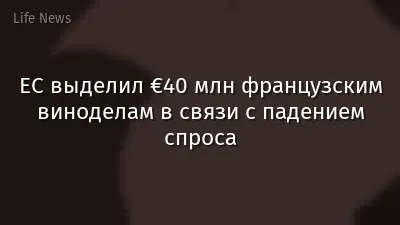 ЕС выделил €40 млн французским виноделам в связи с падением спроса