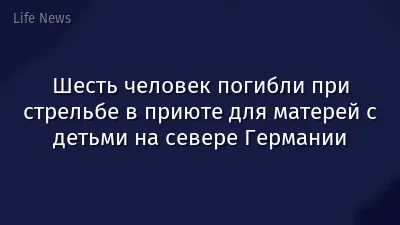 Шесть человек погибли при стрельбе в приюте для матерей с детьми на севере Германии