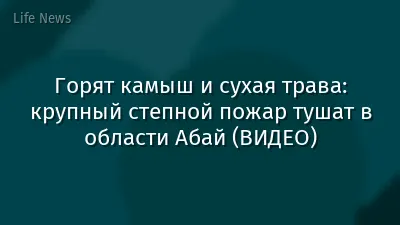 Горят камыш и сухая трава: крупный степной пожар тушат в области Абай (ВИДЕО)
