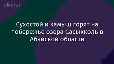 Сухостой и камыш горят на побережье озера Сасыкколь в Абайской области