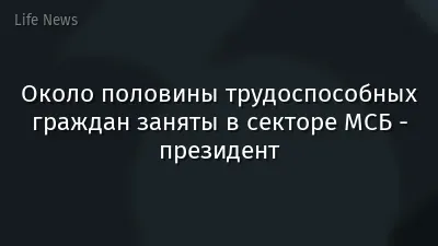 Около половины трудоспособных граждан заняты в секторе МСБ - президент