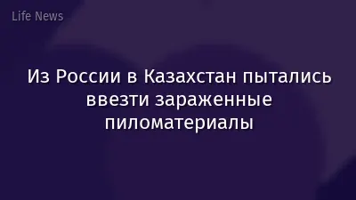 Из России в Казахстан пытались ввезти зараженные пиломатериалы