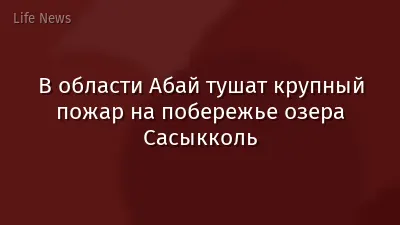 В области Абай тушат крупный пожар на побережье озера Сасыкколь