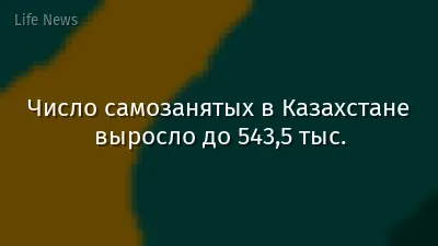 Число самозанятых в Казахстане выросло до 543,5 тыс.