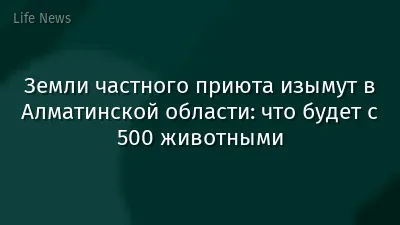 Земли частного приюта изымут в Алматинской области: что будет с 500 животными