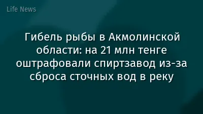 Гибель рыбы в Акмолинской области: на 21 млн тенге оштрафовали спиртзавод из-за сброса сточных вод в реку
