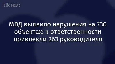 МВД выявило нарушения на 736 объектах: к ответственности привлекли 263 руководителя