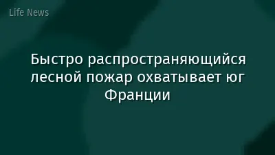 Быстро распространяющийся лесной пожар охватывает юг Франции