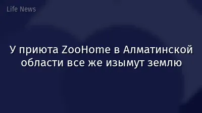 У приюта ZooHome в Алматинской области все же изымут землю