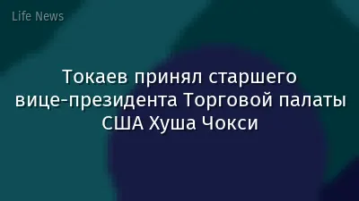 Токаев принял старшего вице-президента Торговой палаты США Хуша Чокси