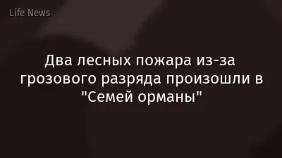 Два лесных пожара из-за грозового разряда произошли в "Семей орманы"