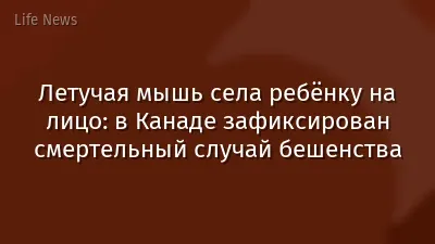 Летучая мышь села ребёнку на лицо: в Канаде зафиксирован смертельный случай бешенства