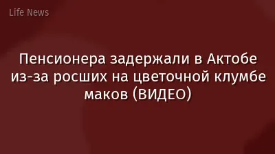 Пенсионера задержали в Актобе из-за росших на цветочной клумбе маков (ВИДЕО)
