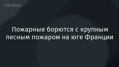 Пожарные борются с крупным лесным пожаром на юге Франции