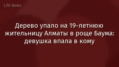 Дерево упало на 19-летнюю жительницу Алматы в роще Баума: девушка впала в кому