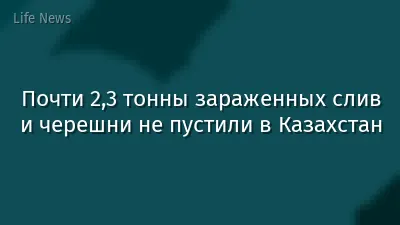 Почти 2,3 тонны зараженных слив и черешни не пустили в Казахстан