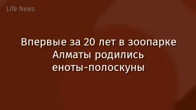 Впервые за 20 лет в зоопарке Алматы родились еноты-полоскуны