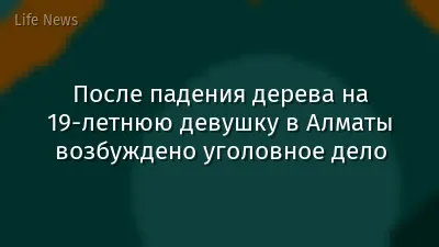 После падения дерева на 19-летнюю девушку в Алматы возбуждено уголовное дело