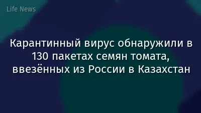 Карантинный вирус обнаружили в 130 пакетах семян томата, ввезённых из России в Казахстан