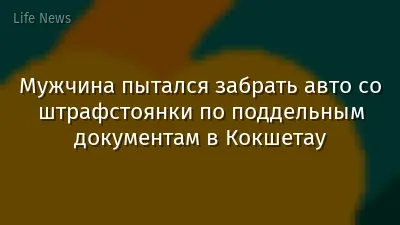 Мужчина пытался забрать авто со штрафстоянки по поддельным документам в Кокшетау