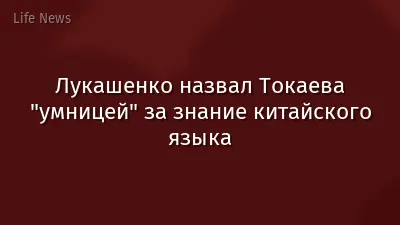 Лукашенко назвал Токаева "умницей" за знание китайского языка