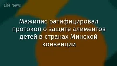 Мажилис ратифицировал протокол о защите алиментов детей в странах Минской конвенции
