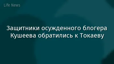 Защитники осужденного блогера Кушеева обратились к Токаеву