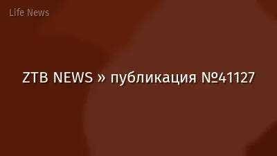 ZTB NEWS » публикация №41127