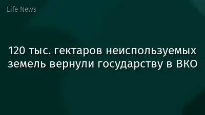 120 тыс. гектаров неиспользуемых земель вернули государству в ВКО