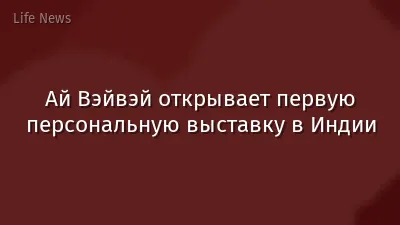 Ай Вэйвэй открывает первую персональную выставку в Индии