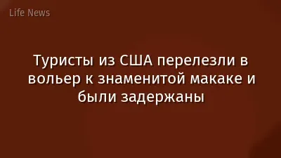 Туристы из США перелезли в вольер к знаменитой макаке и были задержаны
