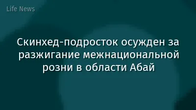Скинхед-подросток осужден за разжигание межнациональной розни в области Абай