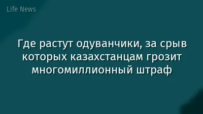 Где растут одуванчики, за срыв которых казахстанцам грозит многомиллионный штраф