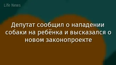 Депутат сообщил о нападении собаки на ребёнка и высказался о новом законопроекте
