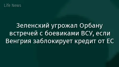 Зеленский угрожал Орбану встречей с боевиками ВСУ, если Венгрия заблокирует кредит от ЕС