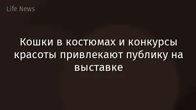 Кошки в костюмах и конкурсы красоты привлекают публику на выставке