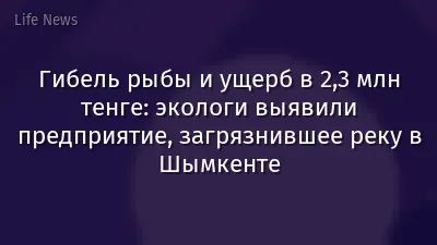 Гибель рыбы и ущерб в 2,3 млн тенге: экологи выявили предприятие, загрязнившее реку в Шымкенте