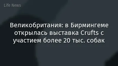 Великобритания: в Бирмингеме открылась выставка Crufts с участием более 20 тыс. собак
