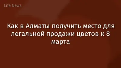 Как в Алматы получить место для легальной продажи цветов к 8 марта