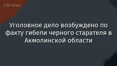 Уголовное дело возбуждено по факту гибели черного старателя в Акмолинской области