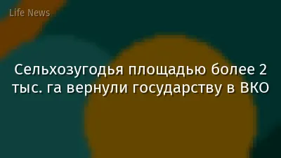 Сельхозугодья площадью более 2 тыс. га вернули государству в ВКО