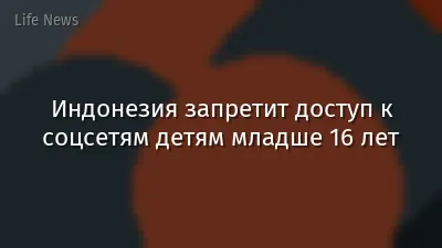 Индонезия запретит доступ к соцсетям детям младше 16 лет