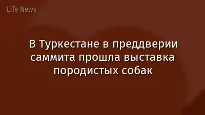 В Туркестане в преддверии саммита прошла выставка породистых собак