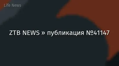 ZTB NEWS » публикация №41147