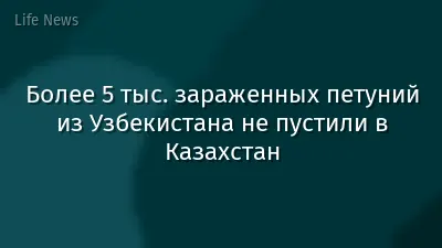 Более 5 тыс. зараженных петуний из Узбекистана не пустили в Казахстан